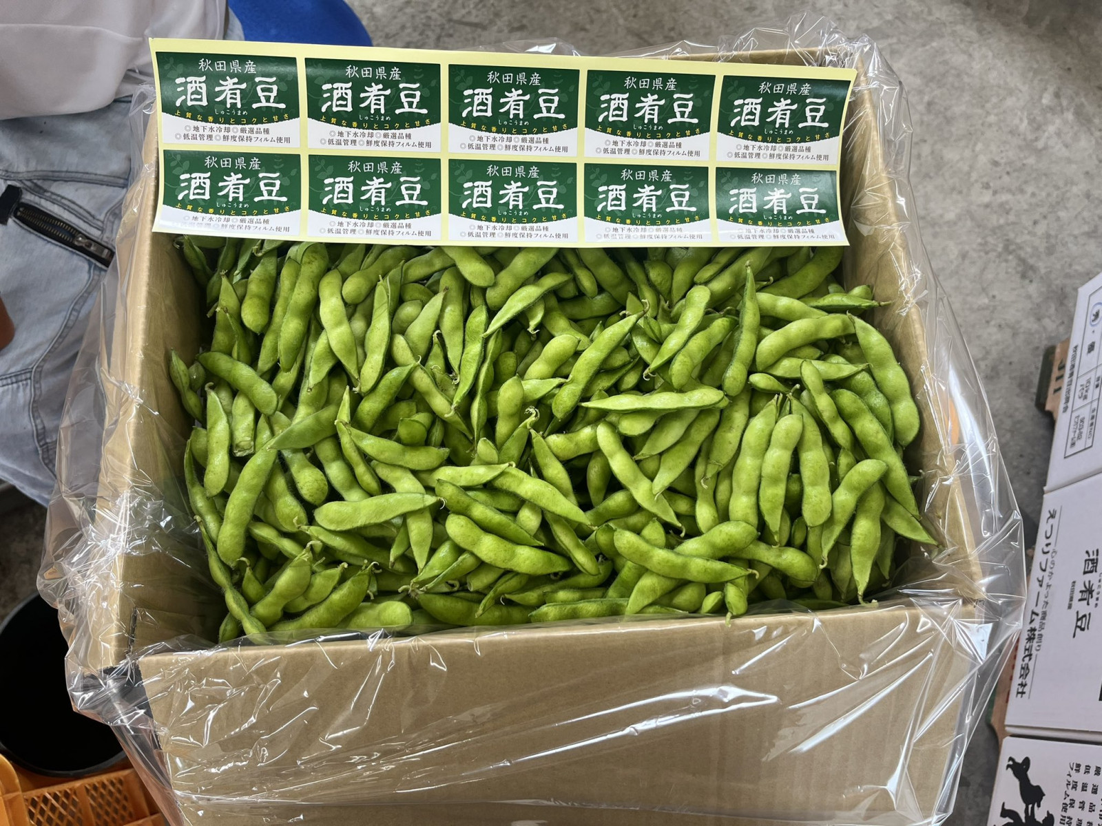 酒肴豆